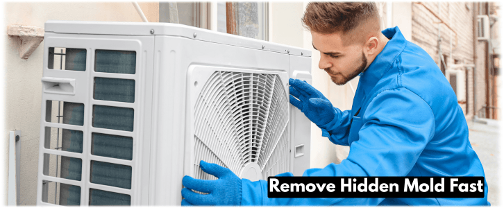 HVAC Mold Removal Perris CA